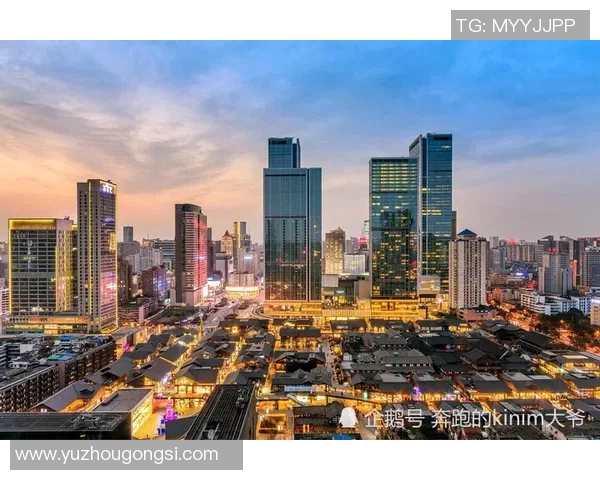 木浦市与龙仁市的魅力对比探索城市文化与发展潜力的全景分析